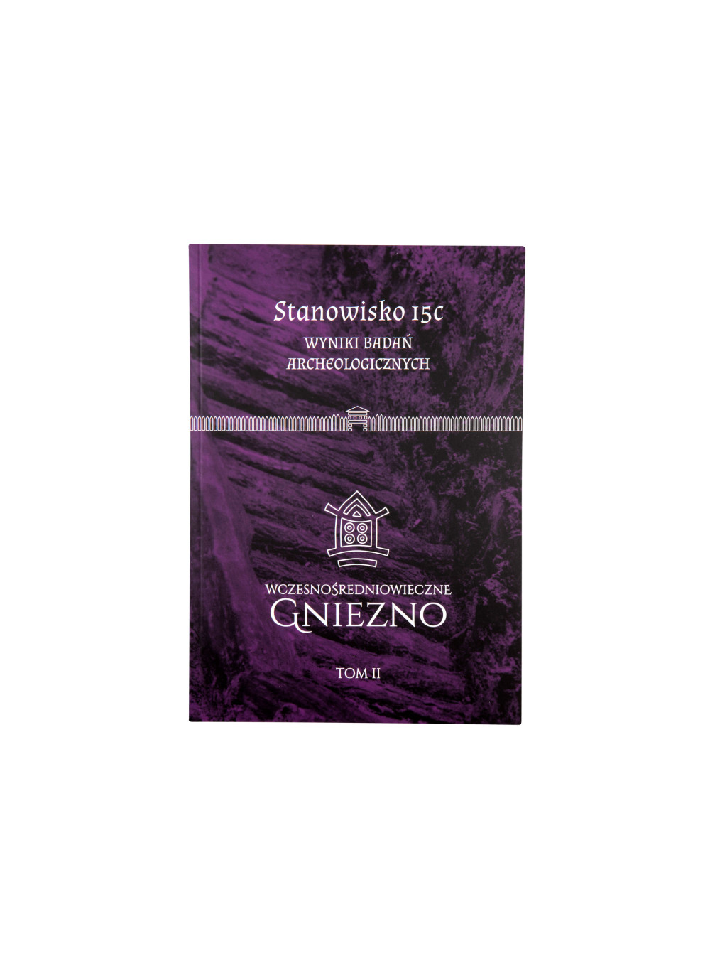 Wczesnośredniowieczne Gniezno t. 2